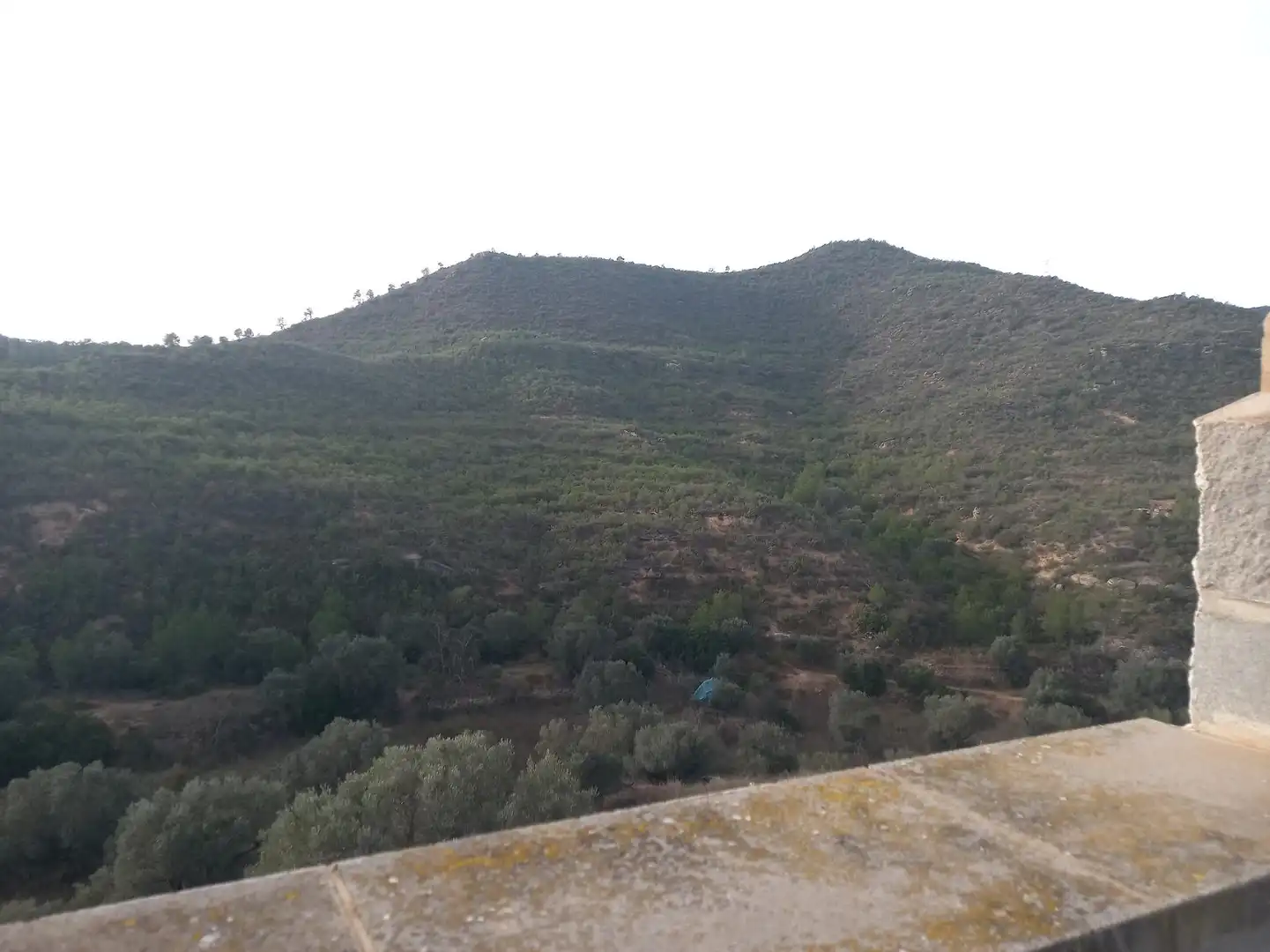 Grundstücke zum Verkauf in Riba-roja d'Ebre