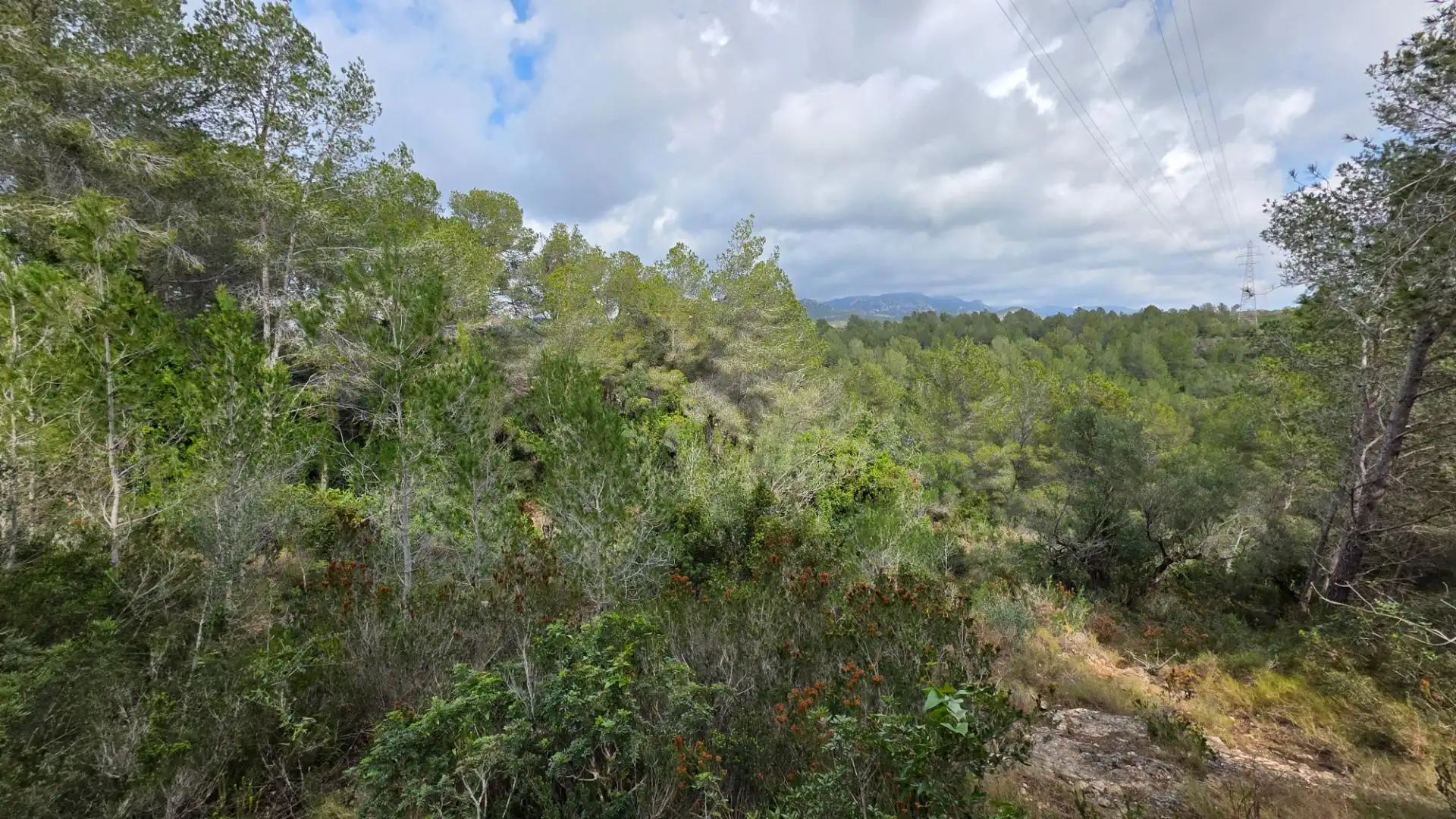 Maison rustique avec jardin à vendre à L'Ametlla de Mar pueblo, imagen 33