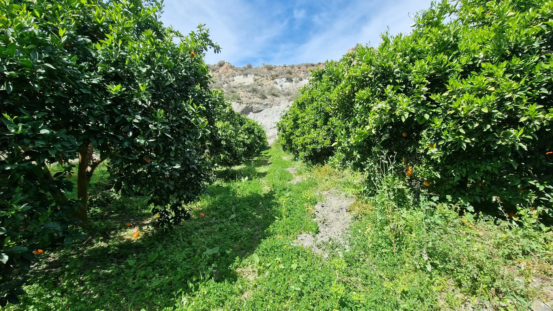 Finca rústica en venda en Canjáyar amb Jardí privat i Moblat
