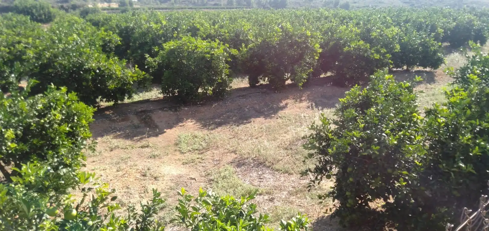 Finca rústica en venta en Pedralba con Jardín privado, Terraza y Trastero