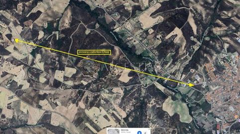 TERRENO RÚSTICO EN VALLE ALAMILLOS DE MÉNTRIDA, immagine 3