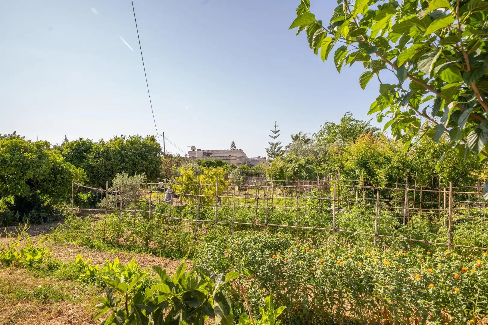 Jardín de Finca rústica en venta en  Palma de Mallorca con Aire acondicionado, Calefacción y Jardín privado
