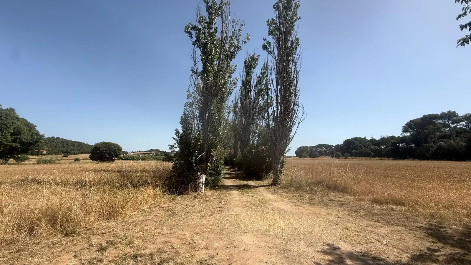 Maison rustique avec terrasse à vendre à Forallac, imagen 68