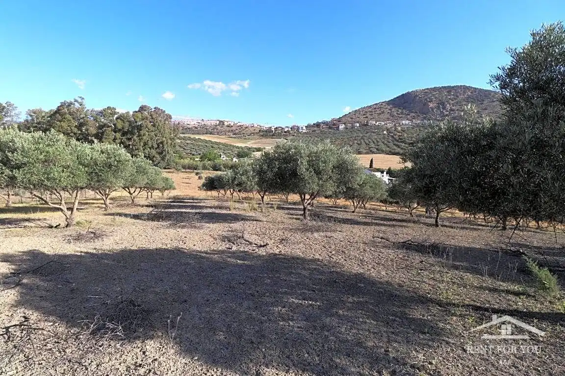 Terreni e lotti in vendita a Coín, imagen 10