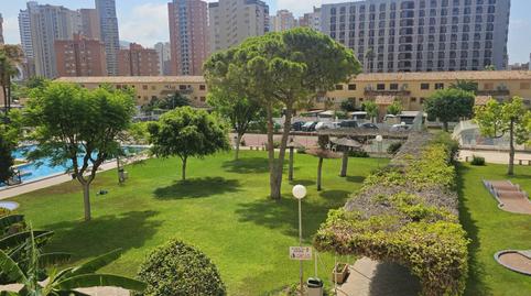 Foto 4 de Apartament en venda a Juzgados - Plaza de Toros, Benidorm