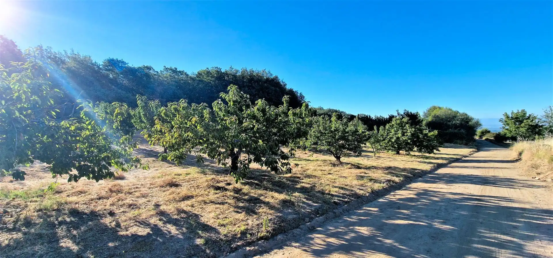 Terreni e lotti in vendita a Aldeanueva de la Vera