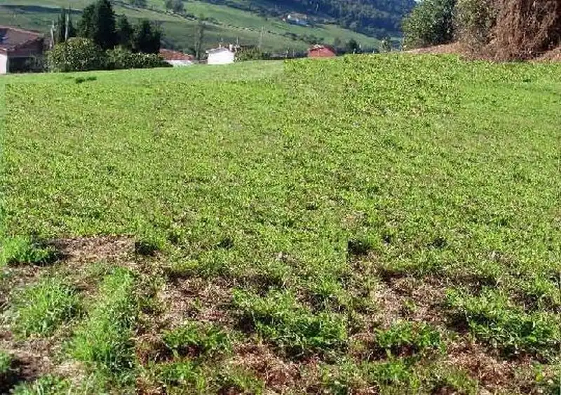 Wohnbaugrundstück zum Verkauf in Lugar Barredo, imagen 3
