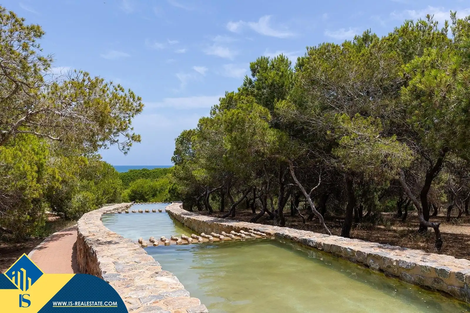 Bungalow amb piscina en venda a La Mata, imagen 29