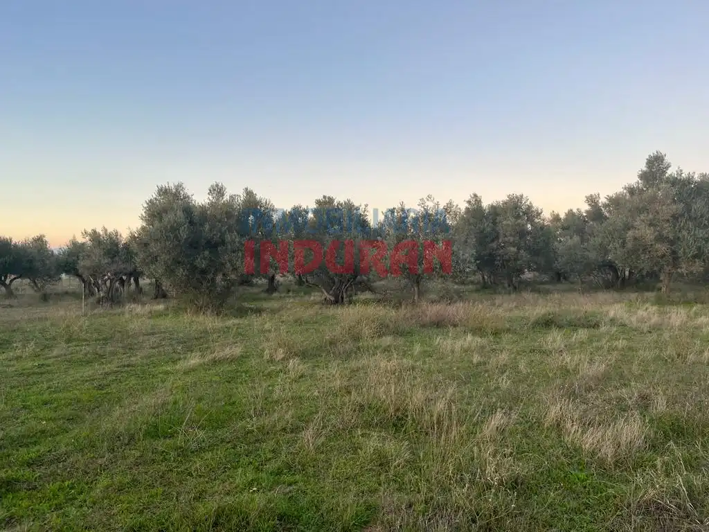 Casa rústica en venda a Diseminados Ca/Os, imagen 4