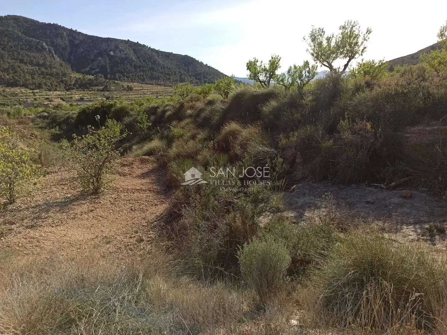 Terrain rustique à vendre à Algueña, imagen 13