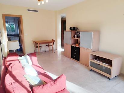 Sala d'estar de Apartament en venda en Oliva amb Aire condicionat, Calefacció i Jardí privat