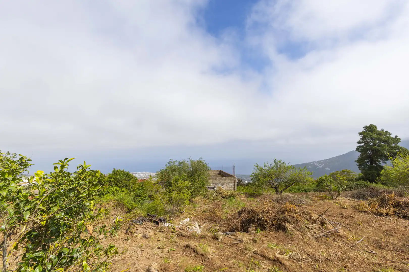 Casa o chalet en venta en La Orotava con Jardín privado, Terraza y Trastero