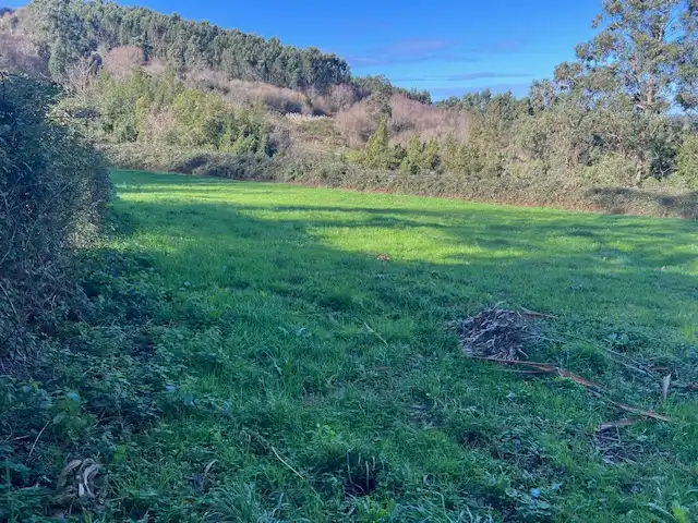 Land for sale in Camargo