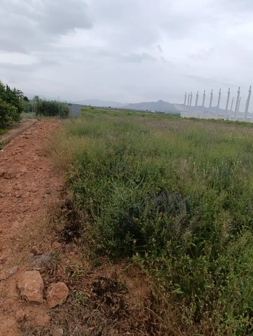 Industrial land for sale in Fortuna