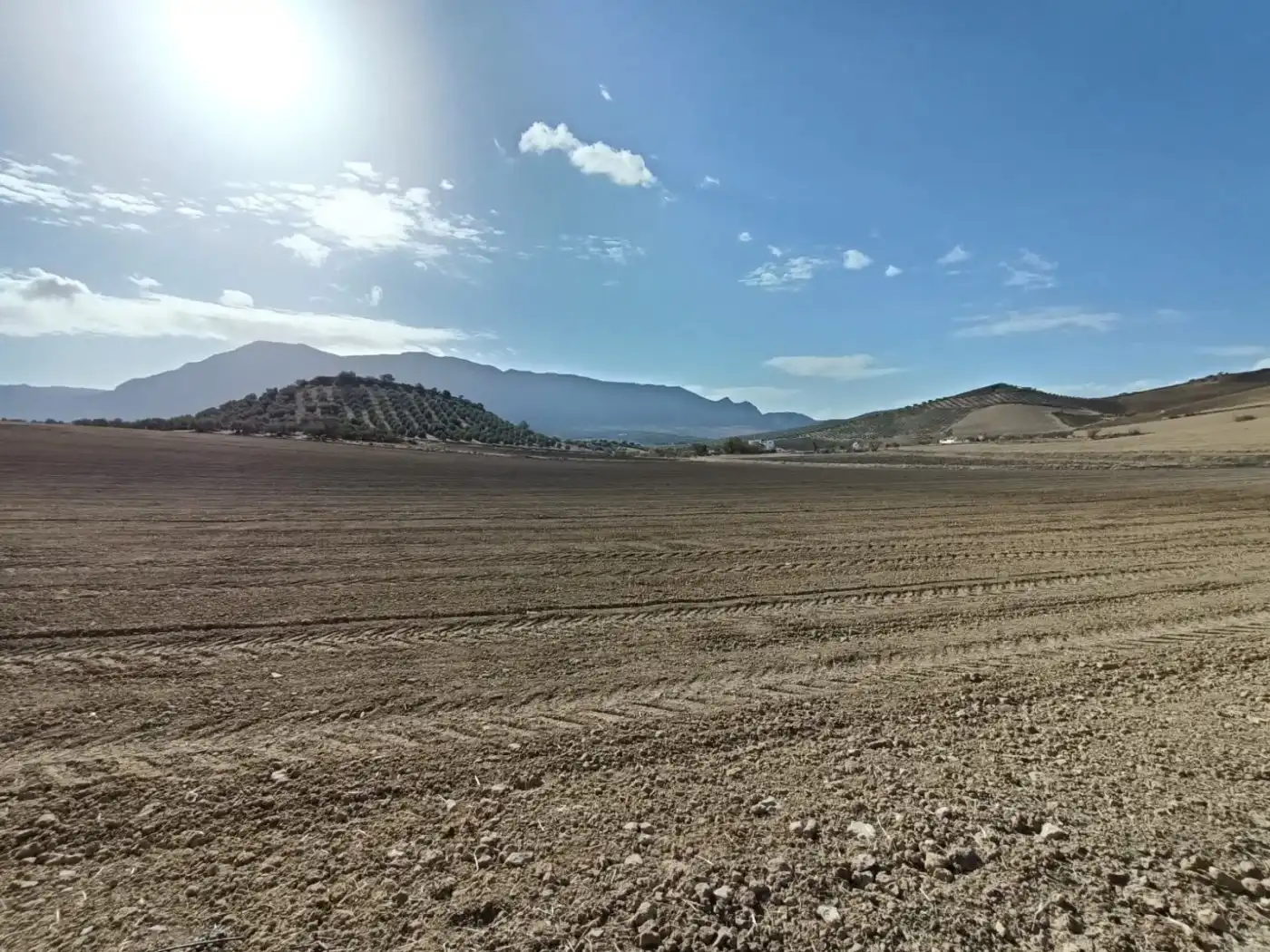 Terreni e lotti in vendita a Bobadilla - Bobadilla Estación - La Joya, imagen 4