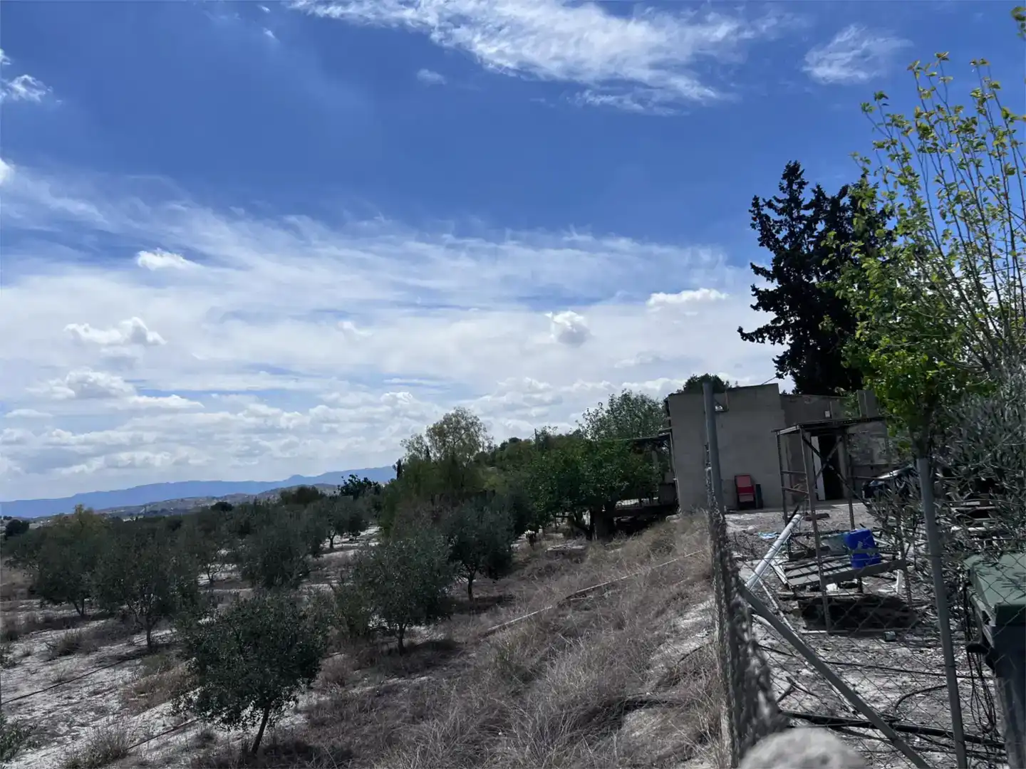 Finca rústica en venda en Las Torres de Cotillas, Murcia