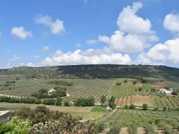 Habitatge amb jardí en venda a GR-3410 5, imagen 8
