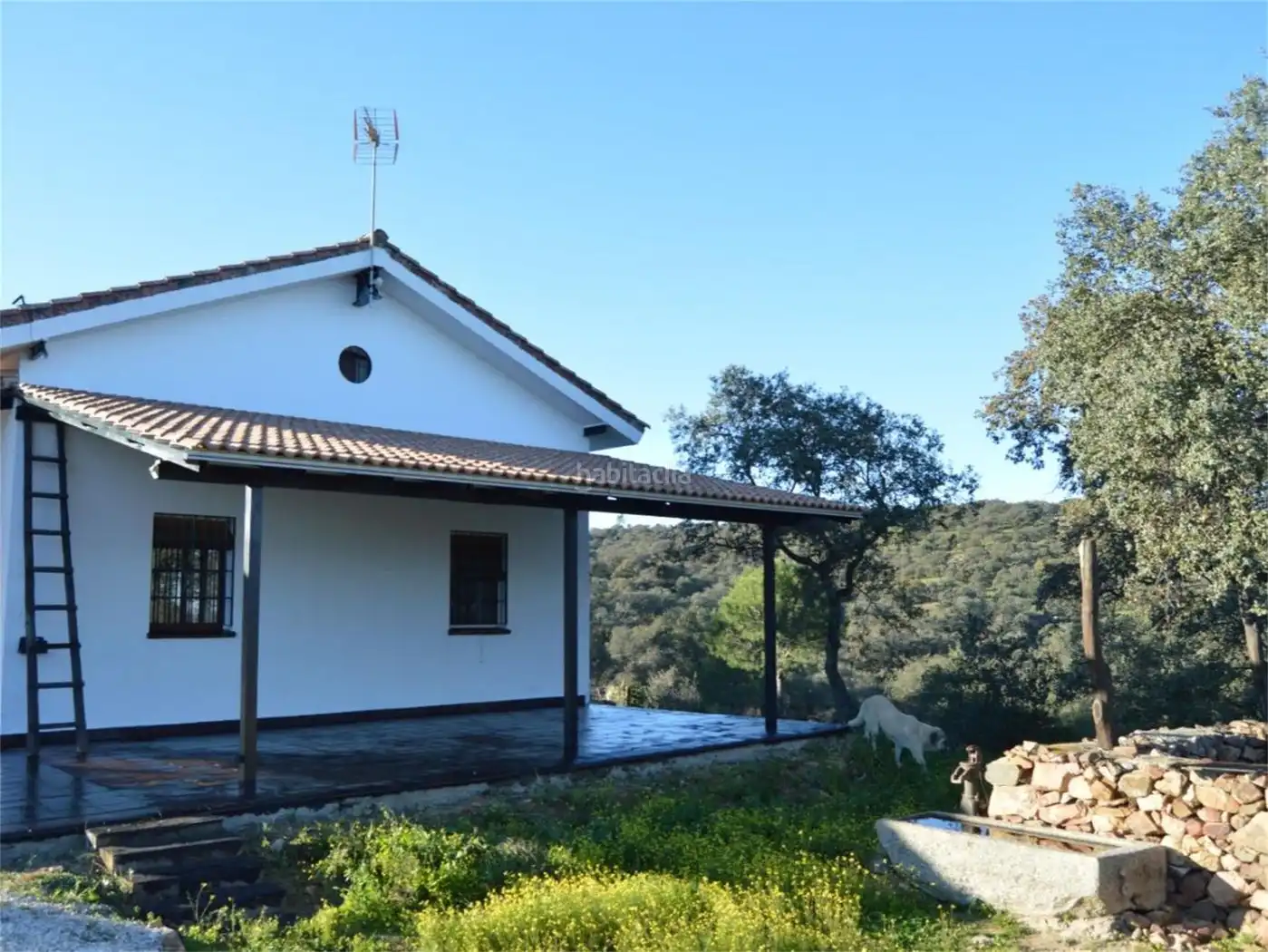 House for sale in Calle Bartolome Gomez 54, imagen 6