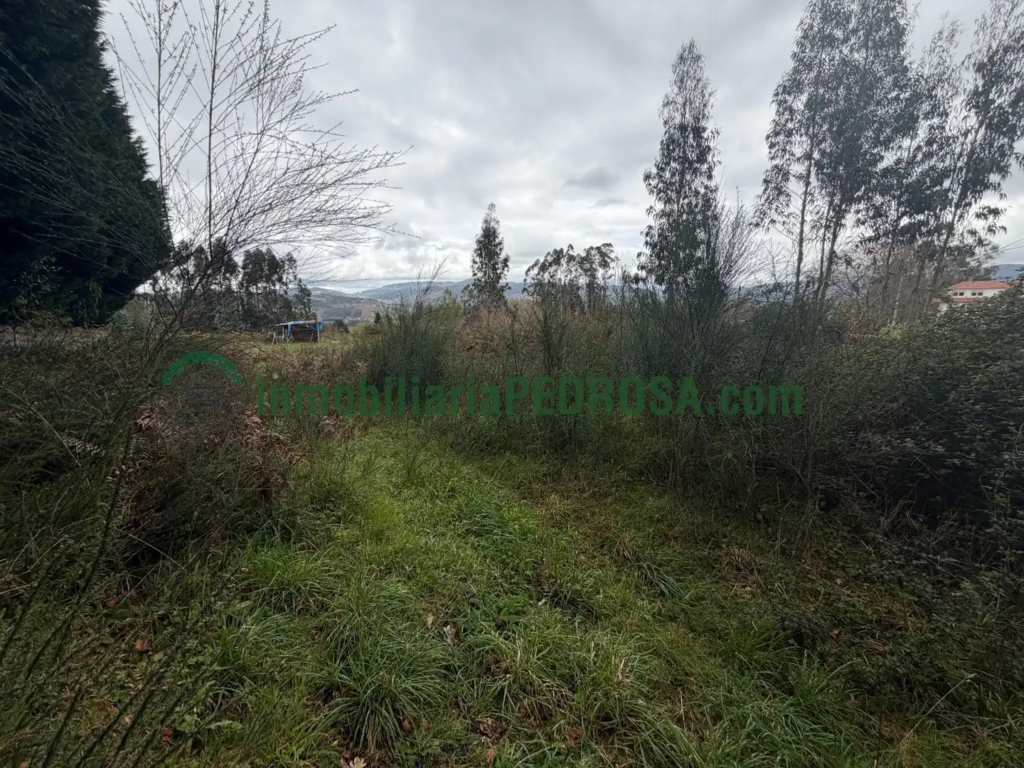 Rural land for sale in Lugar de La Iglesia, imagen 2