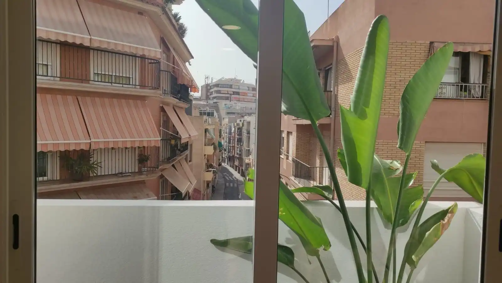 Apartamento con terraza en venta en Calle CARLOTA PASARON, imagen 14