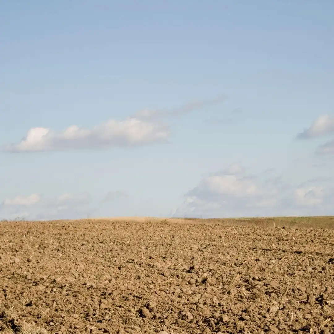 Terreno rustico in vendita a Almansa
