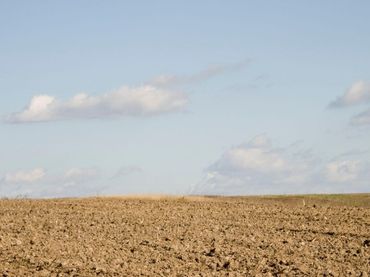 Rustikales Grundstück zum Verkauf in Almansa
