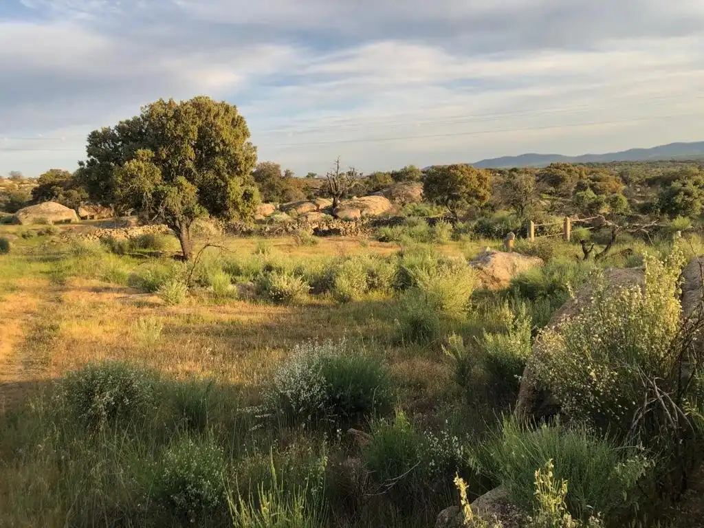 Casa o chalet en venta en Aldea del Cano