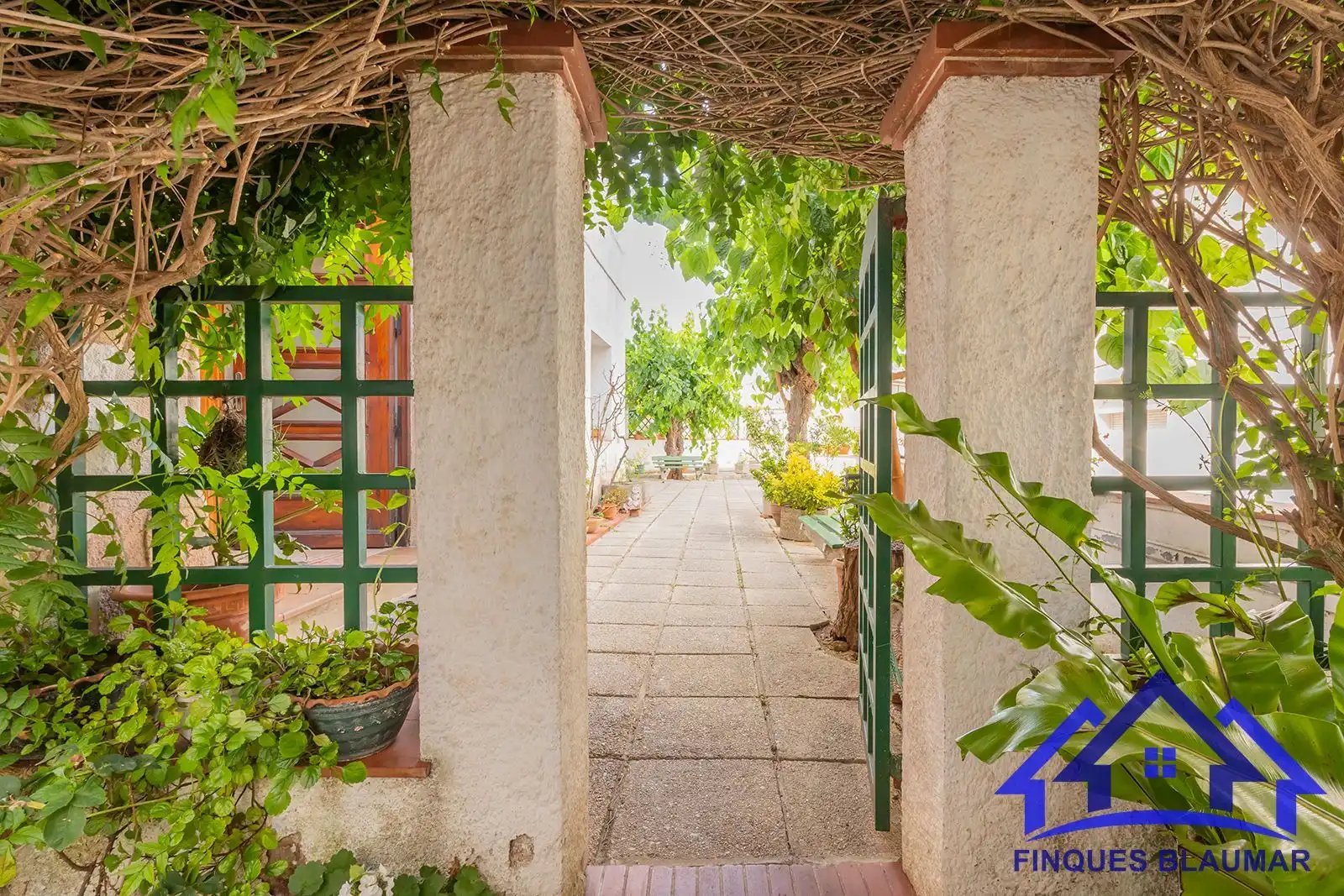 Vista exterior de Finca rústica en venda en Arenys de Mar amb Calefacció, Jardí privat i Terrassa