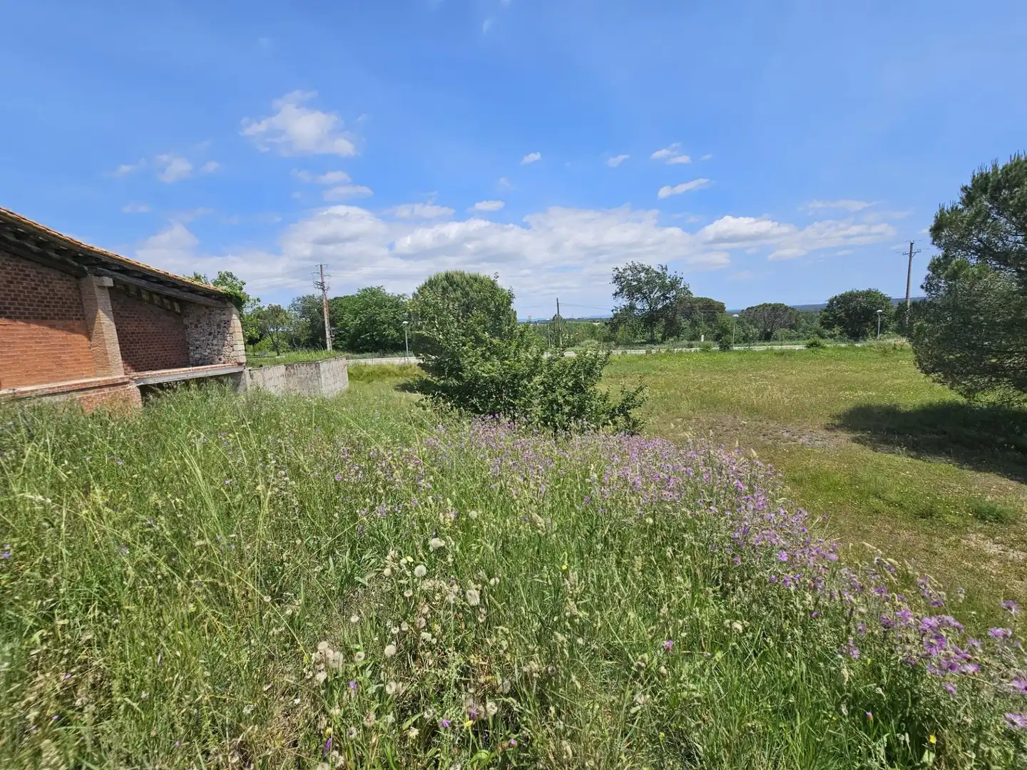 Landhaus mit Garten zum Verkauf in Calle MAS MUNTANER, imagen 79