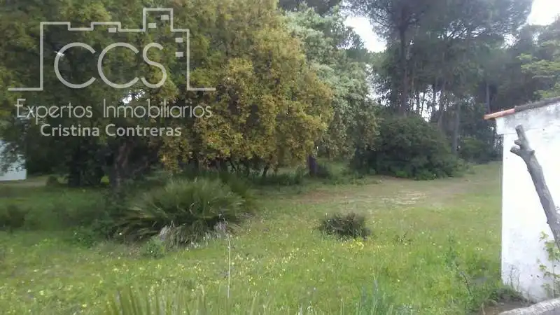 Casa rústica en venda a Almonte ciudad, imagen 19