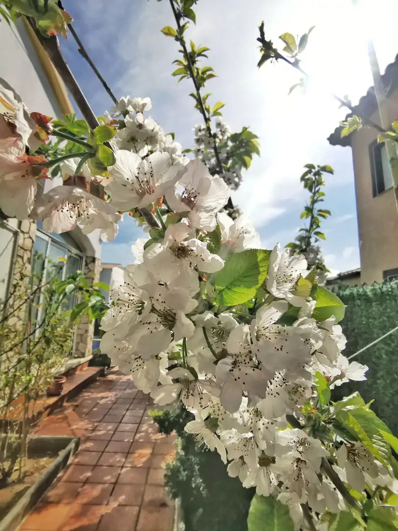 Casa con piscina en venta en Fenals, imagen 4