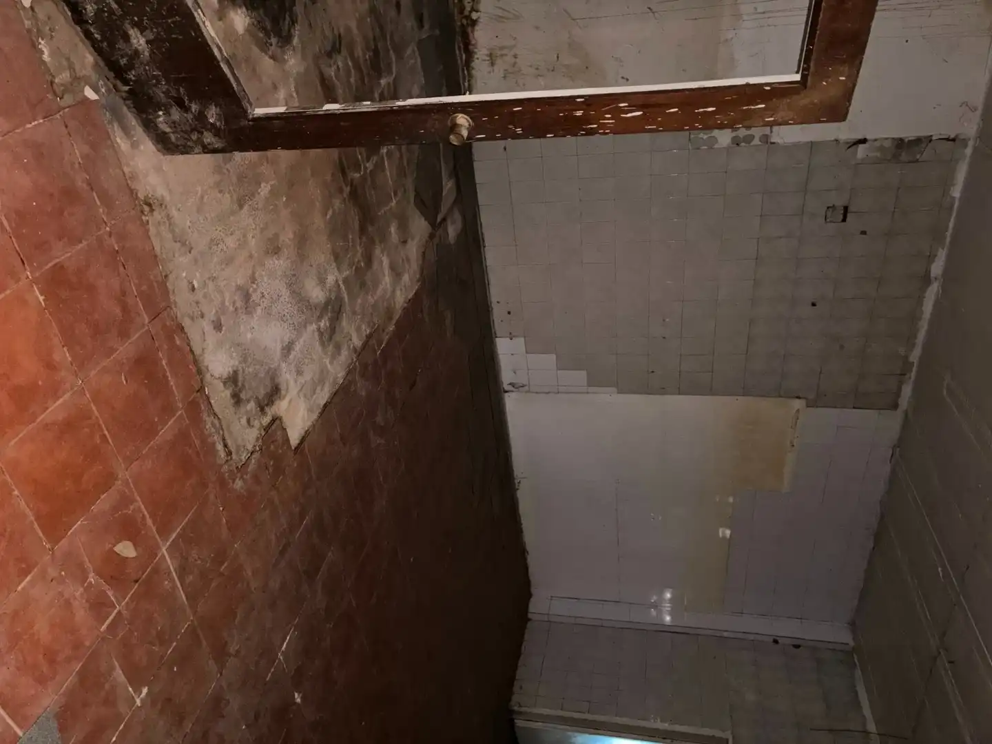 Business premises for sale in Salut - Lloreda, imagen 5