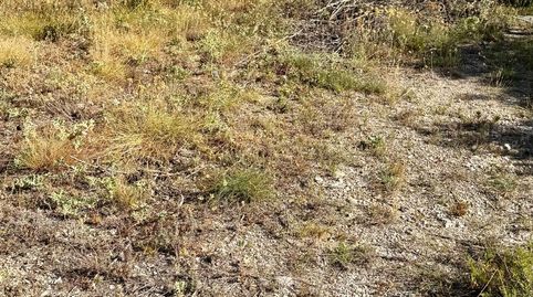TERRENO EN PONTONS, immagine 4