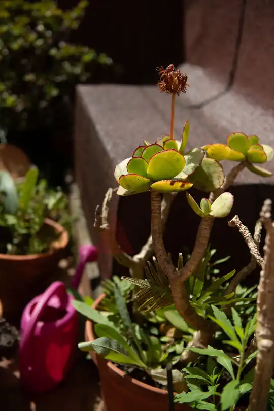 Jardín de Piso en venta en Santander con Calefacción y Terraza