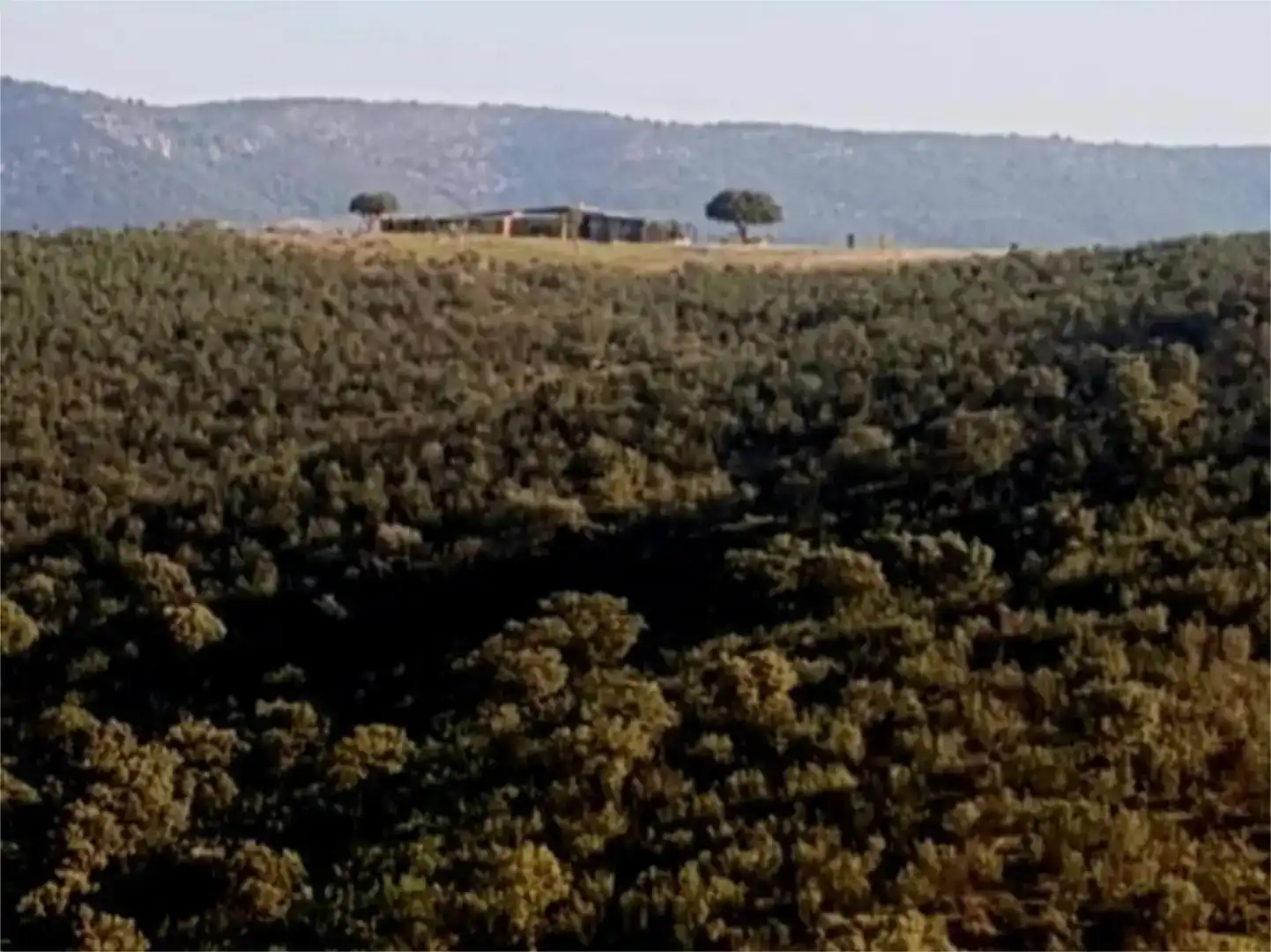 Finca rústica en venda en Villarta de los Montes