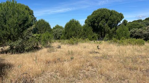 Finca rústica en Cenicientos, immagine 5