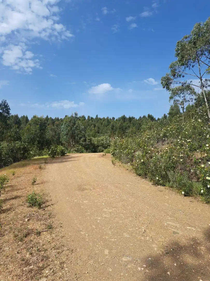 Terreno en venta en Herrera de Alcántara