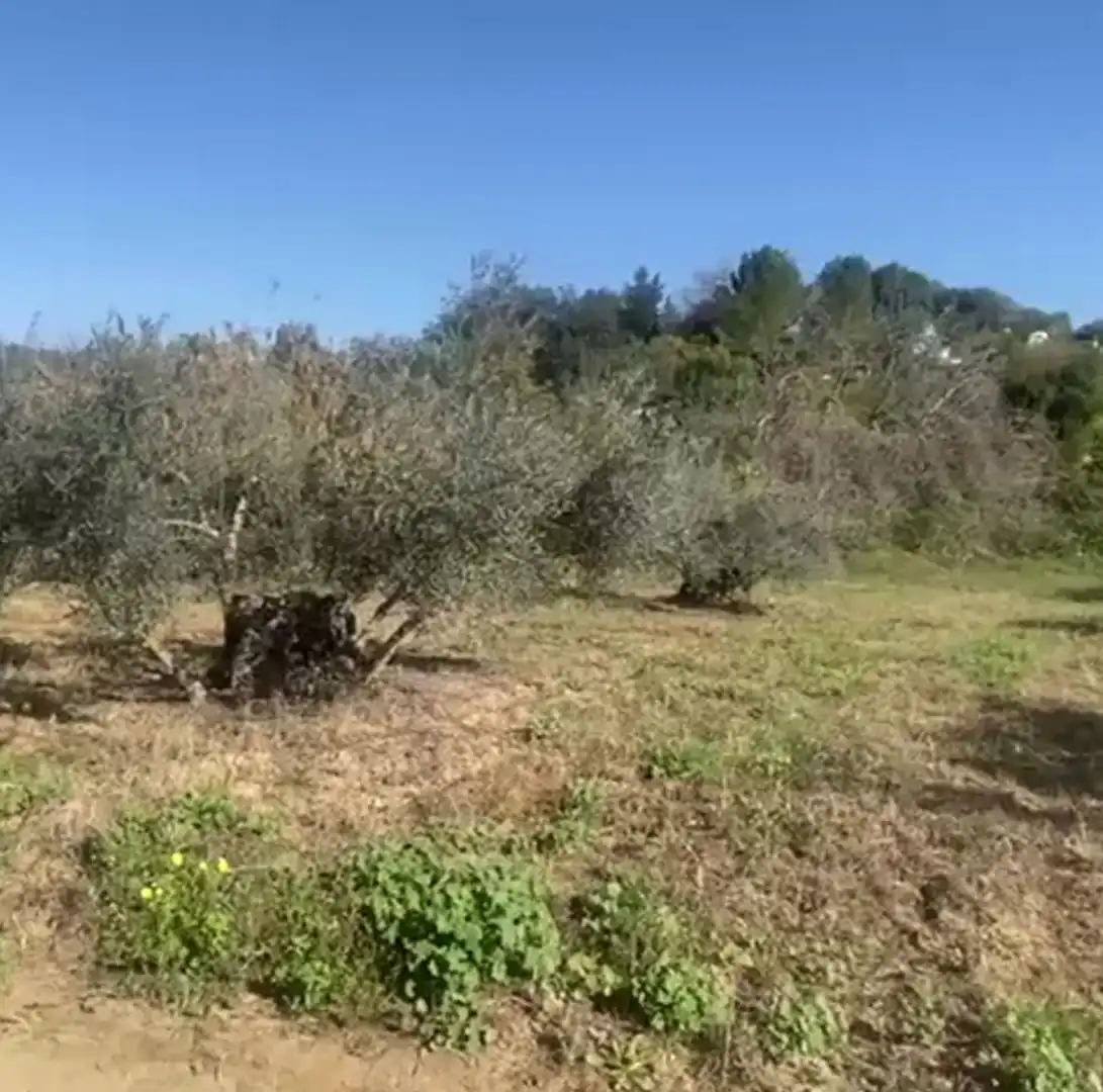 Terreni e lotti in vendita a Centro, imagen 12