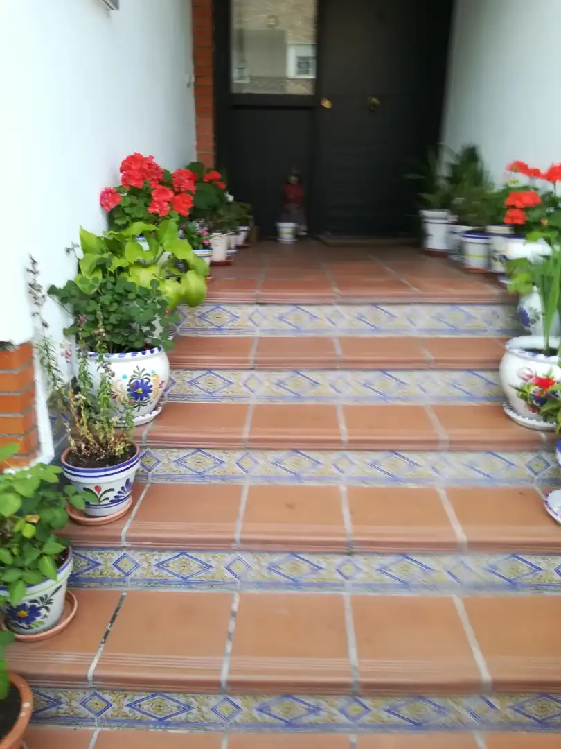 Casa o chalet para compartir en Madrid con Jardín privado, Parquet y Terraza