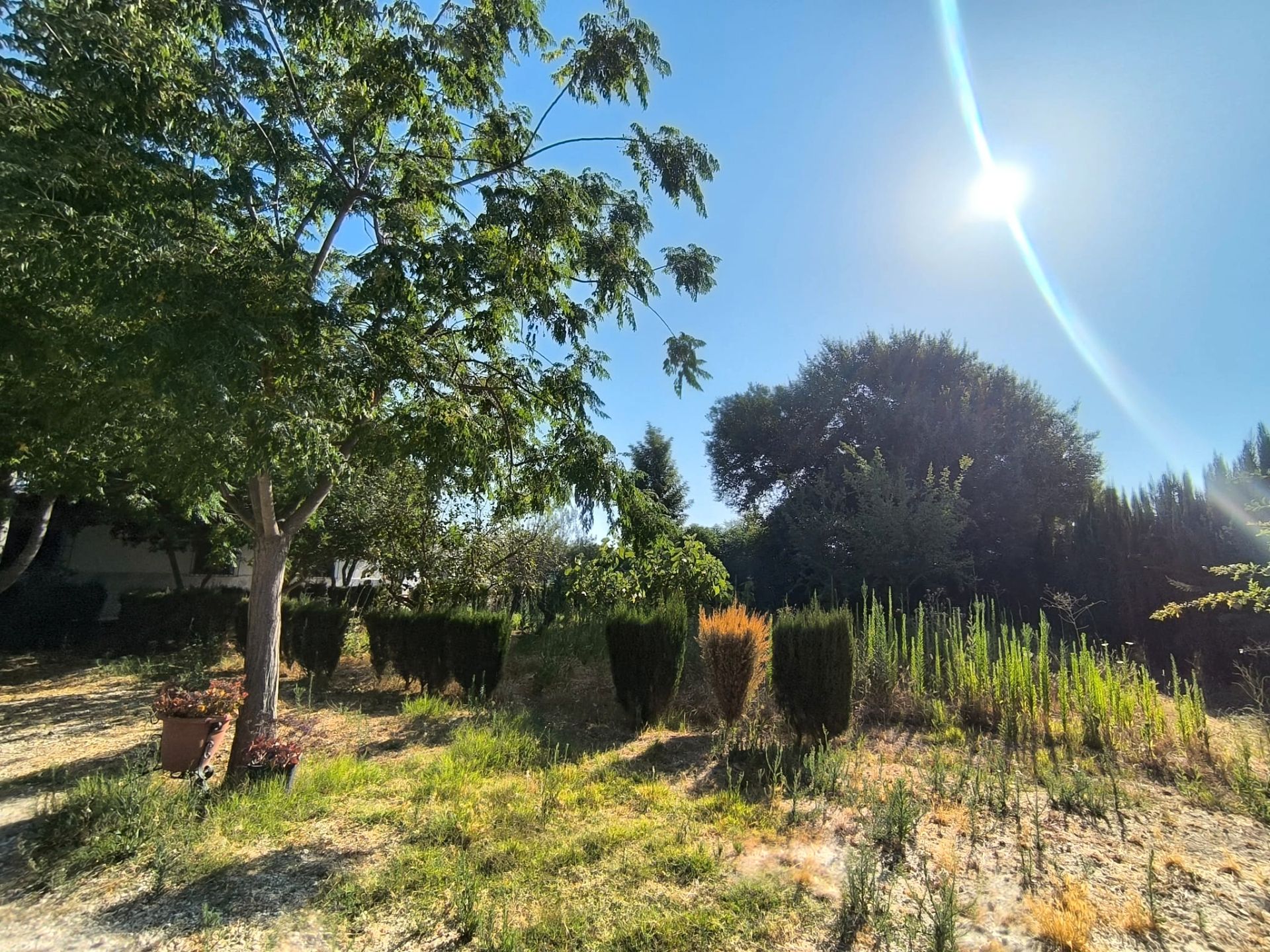 Country house for sale in Utrera  with Furnished