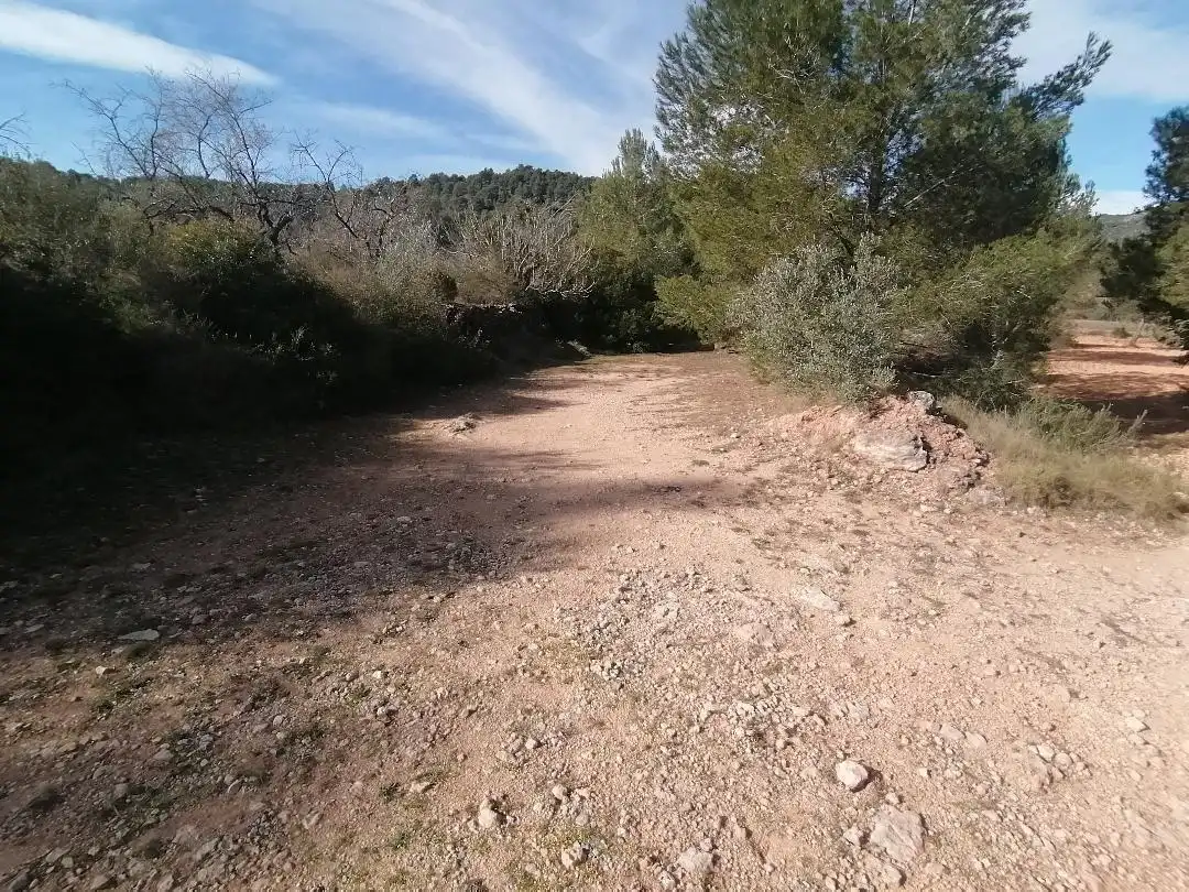 Rural land for sale in Camino de Raca, imagen 3