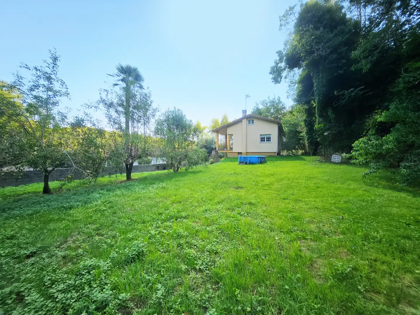 Jardín de Casa o chalet en venta en Bergondo, A Coruña