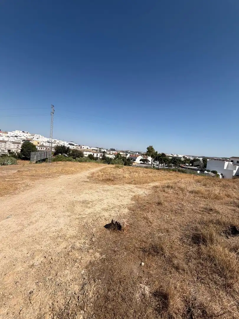 Terreno rustico in vendita a Morón de la Frontera, imagen 3