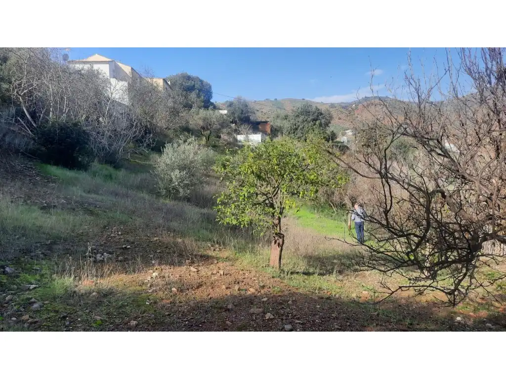 Terrenos y solares en venta en Almogía, imagen 26