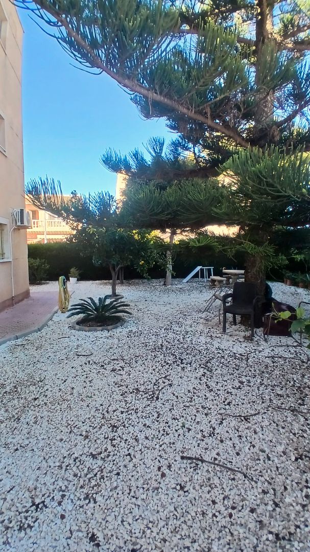 Jardí de Loft en venda en San Javier amb Moblat