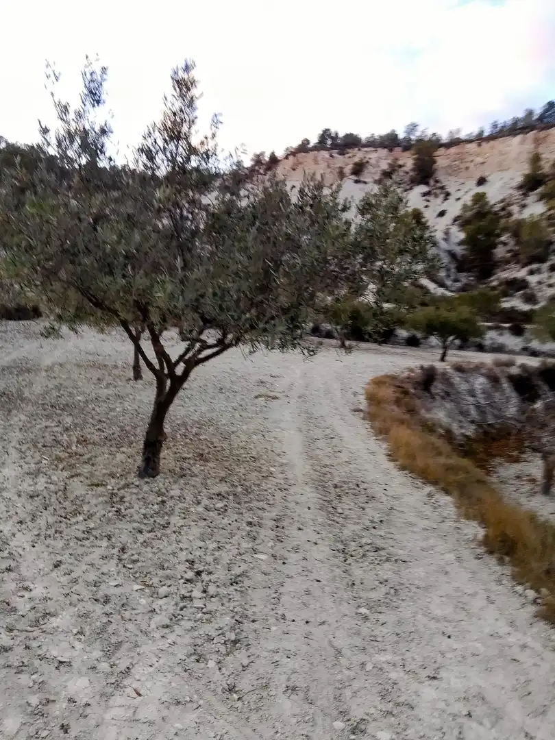 Terreno rustico in vendita a N/A, imagen 22