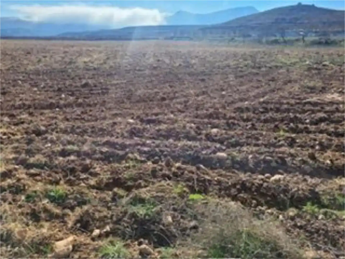 Terreno en venta en Torralba de Ribota