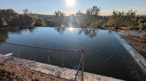 Foto 3 de Terreny en venda a Partida Monterols, Mestral, Tarragona