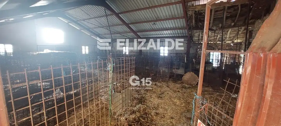 Land for sale in Errezil