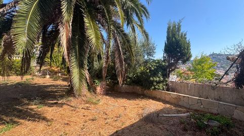 Photo 3 of Residential for sale in Centre, Blanes